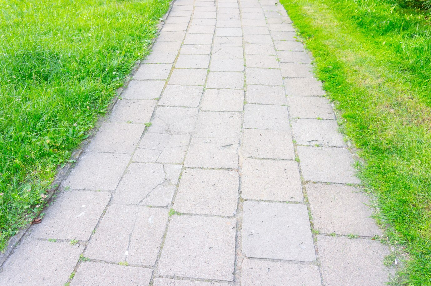 high-angle-shot-footpath-made-stone-tiles-surrounded-by-green-grass_181624-29097